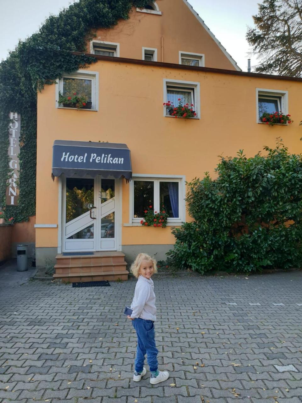 Hotel Pelikan كيتسينغن المظهر الخارجي الصورة